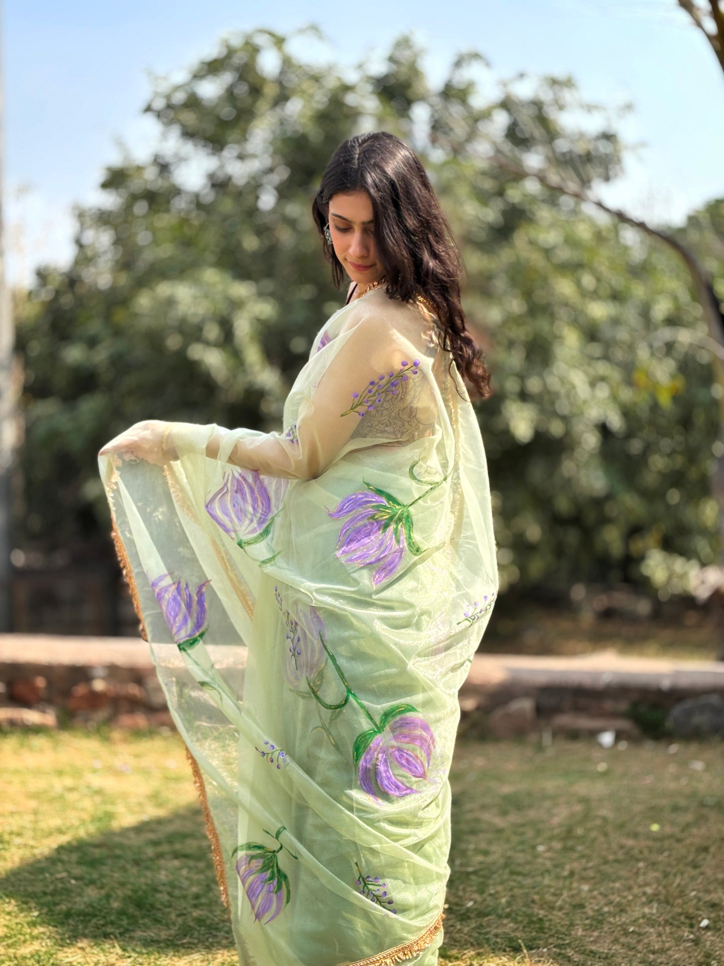 Malook Pista Green Shining Nylon net Hand-painted saree