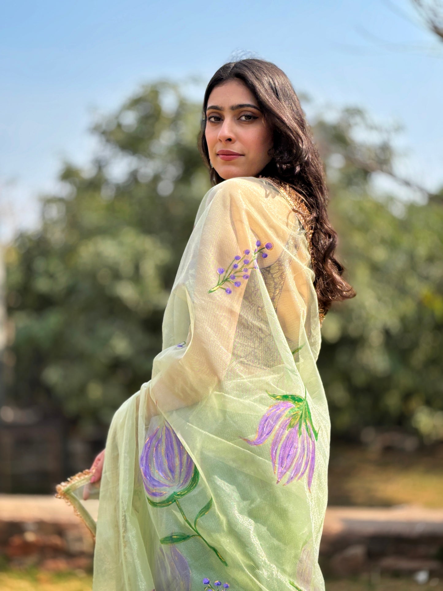 Malook Pista Green Shining Nylon net Hand-painted saree