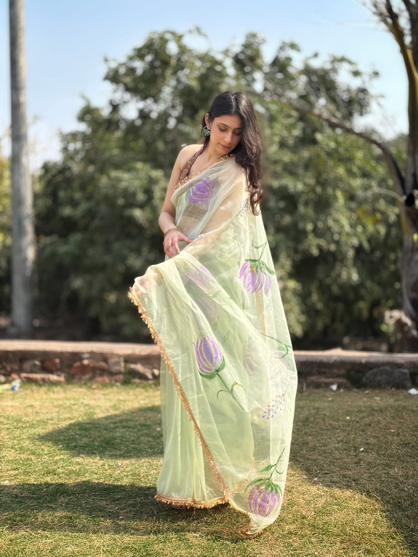 Malook Pista Green Shining Nylon net Hand-painted saree